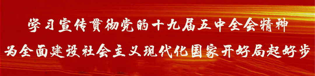 宁夏富硒大米品牌（宁夏大米排名）-硒宝网