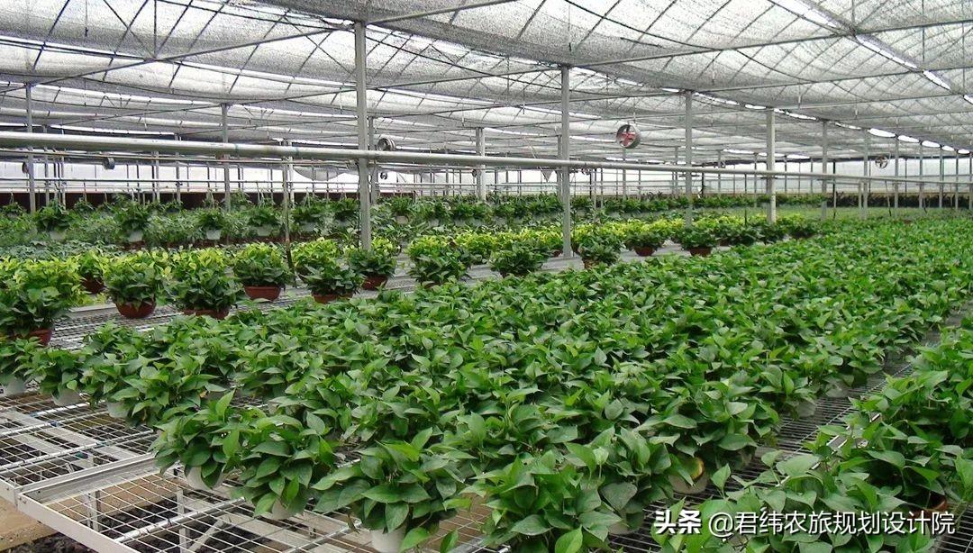 宜春富硒大米产地（宜春含硒大米）-硒宝网