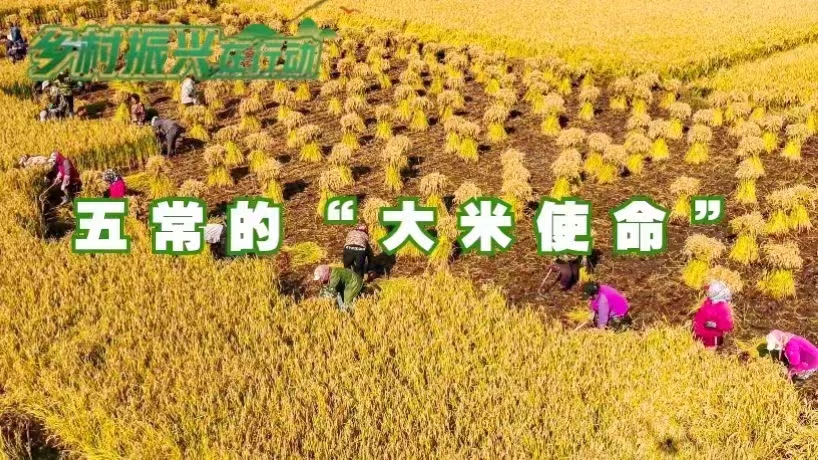 富硒大米没有香味(富硒大米是不是有一股味道的)-硒宝网