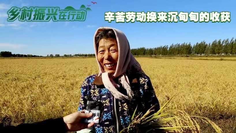 富硒大米没有香味(富硒大米是不是有一股味道的)-硒宝网