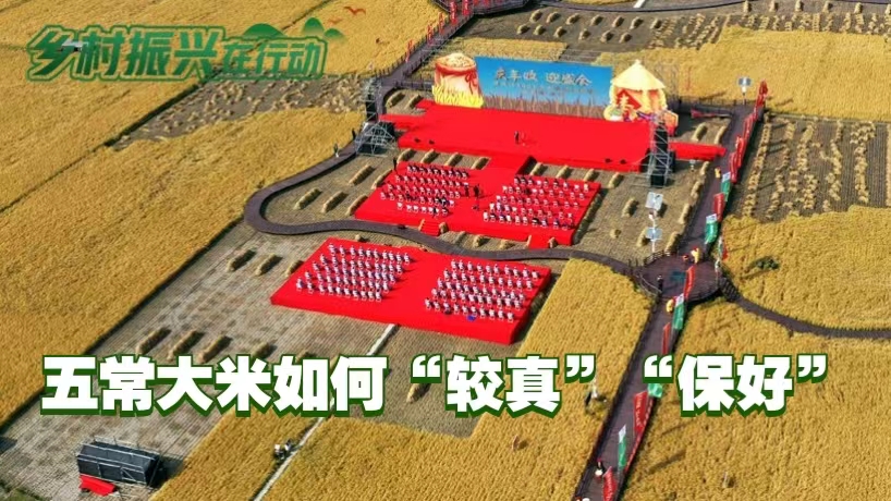 富硒大米没有香味(富硒大米是不是有一股味道的)-硒宝网