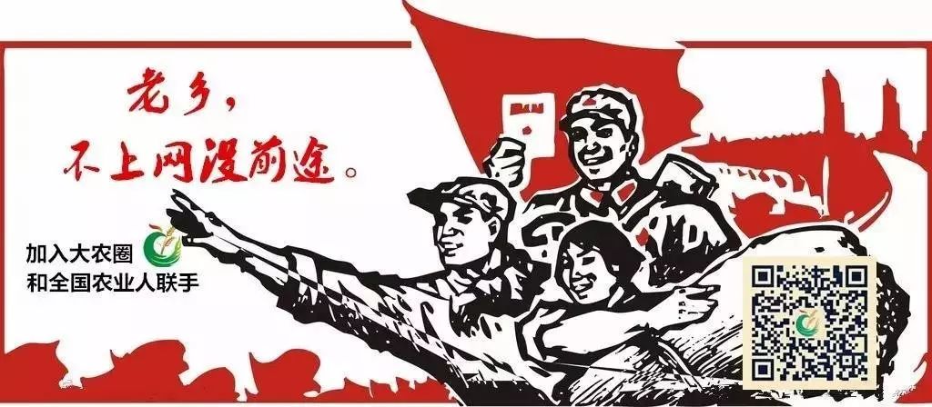 富硒大米精美介绍(大米精美富硒介绍图片)-硒宝网