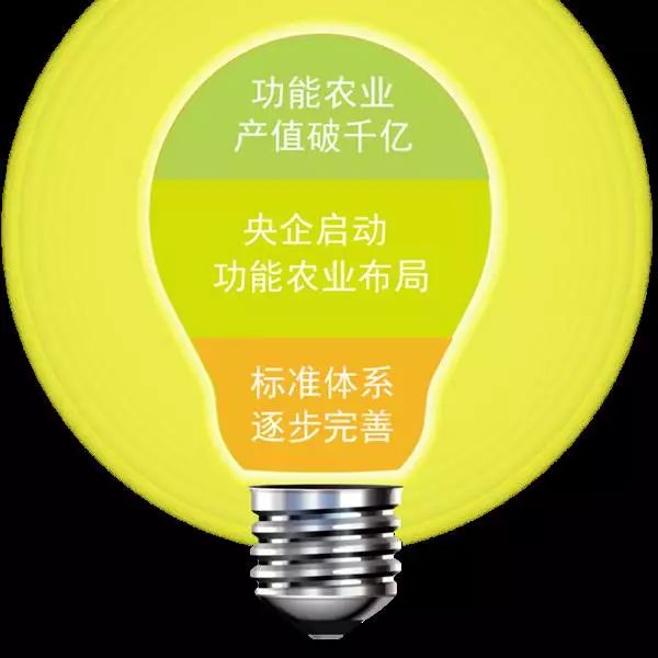 富硒大米哪里有名(富硒大米中富含的营养物质)-硒宝网