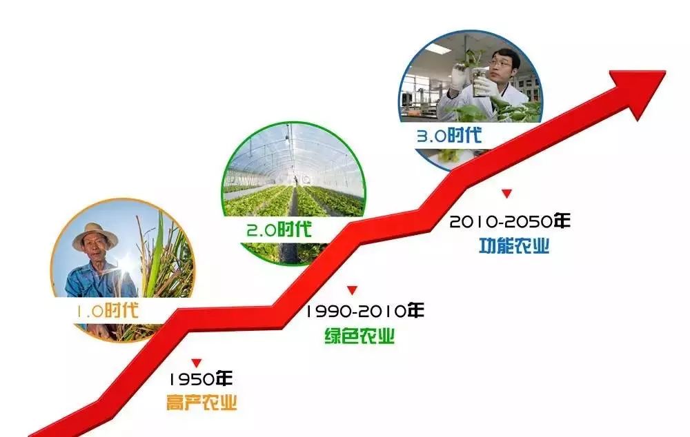 富硒大米哪里有名(富硒大米中富含的营养物质)-硒宝网