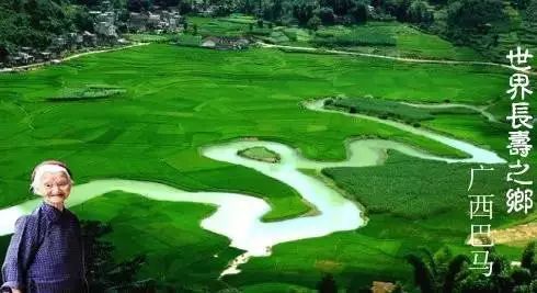 富硒大米哪里有名(富硒大米中富含的营养物质)-硒宝网