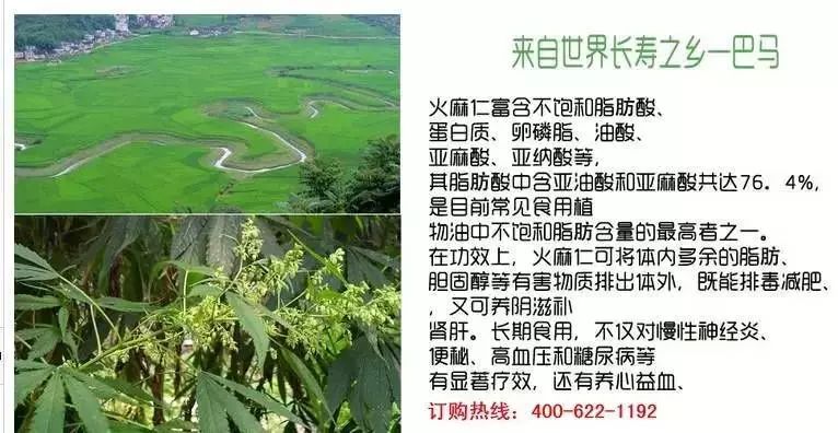 富硒大米哪里有名(富硒大米中富含的营养物质)-硒宝网