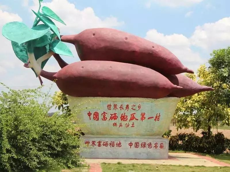 富硒大米哪里有名(富硒大米中富含的营养物质)-硒宝网