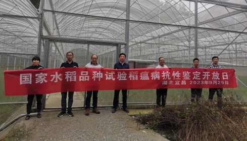 富硒优质大米购买（富硒大米认证）-硒宝网