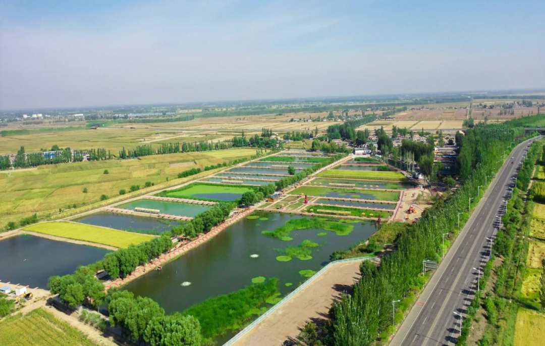 宁夏富硒大米产地(宁夏大米好吗)-硒宝网