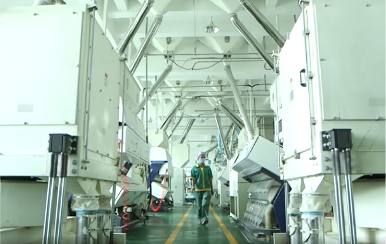 宁夏富硒大米产地(宁夏大米好吗)-硒宝网