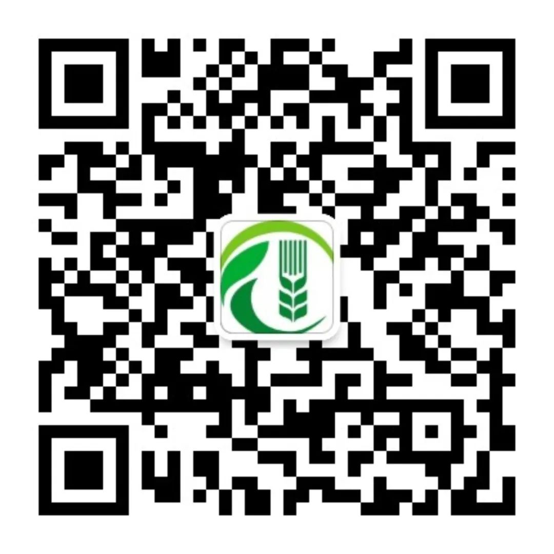 宁夏富硒大米产地(宁夏大米好吗)-硒宝网