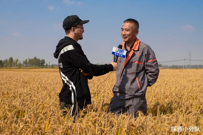 盘锦弱碱富硒大米(盘锦大米碱地米好吃吗)-硒宝网