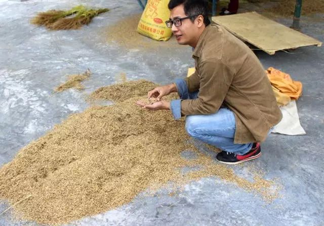 富硒大米相关资料（富硒大米中含有的主要营养素是）-硒宝网