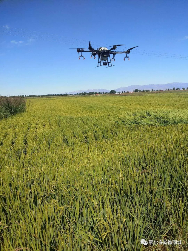 富硒弱碱石板大米（大米碱弱石板富硒含量高吗）-硒宝网