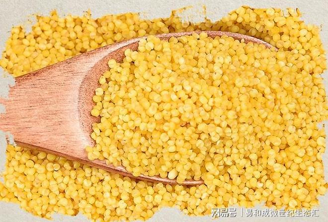 富硒大米服务热线(富硒优质大米)-硒宝网