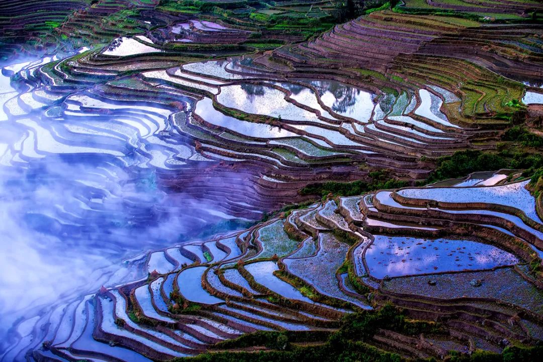 生态农耕富硒大米（富硒大米生产技术）-硒宝网