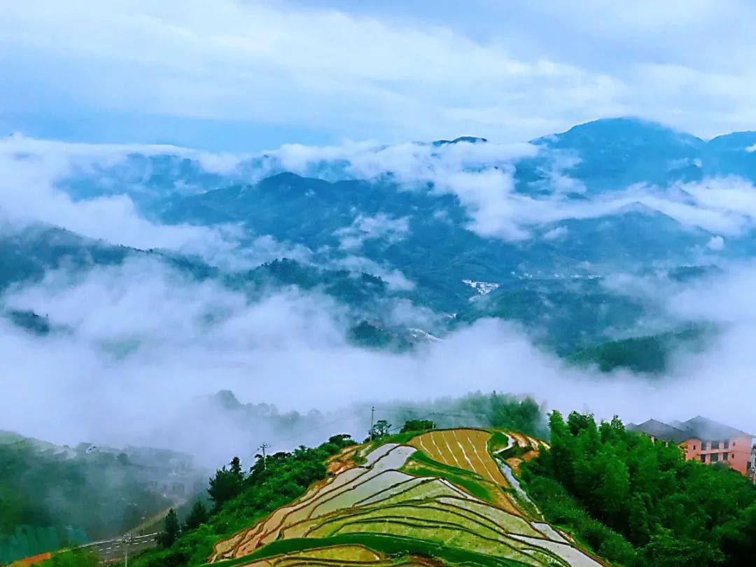 生态农耕富硒大米（富硒大米生产技术）-硒宝网