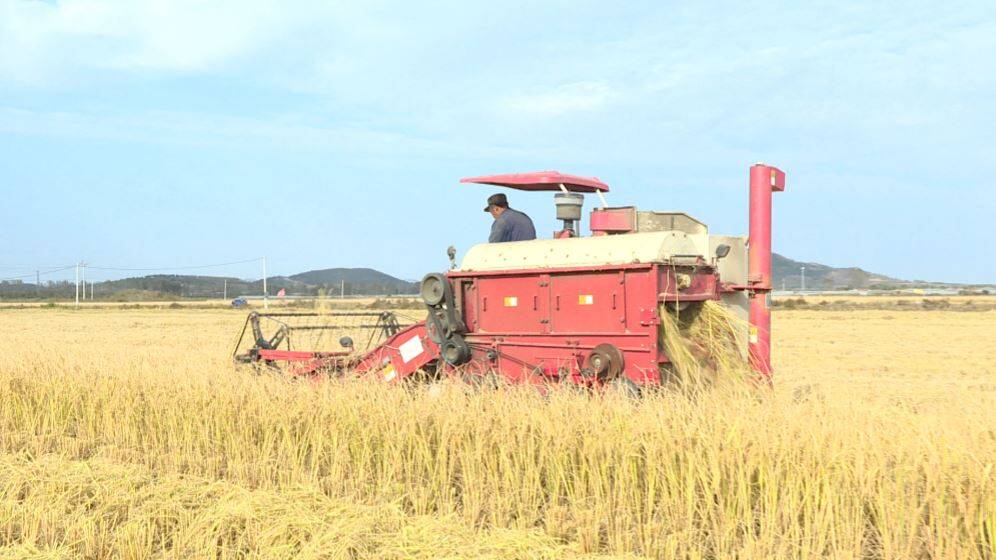 湖北施恩大米富硒(湖北恩施硒米多少钱一斤)-硒宝网