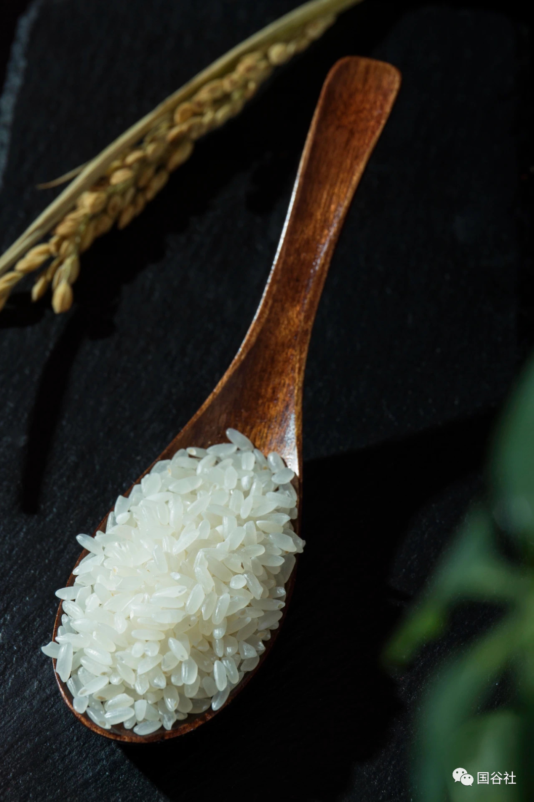 柳河富硒大米产地（富硒大米的产地）-硒宝网