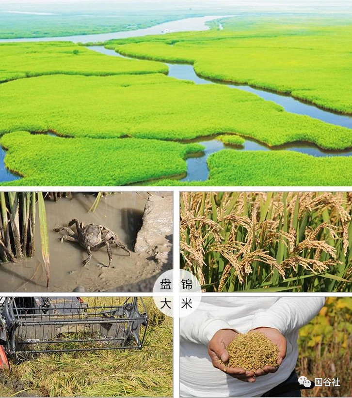 柳河富硒大米产地（富硒大米的产地）-硒宝网