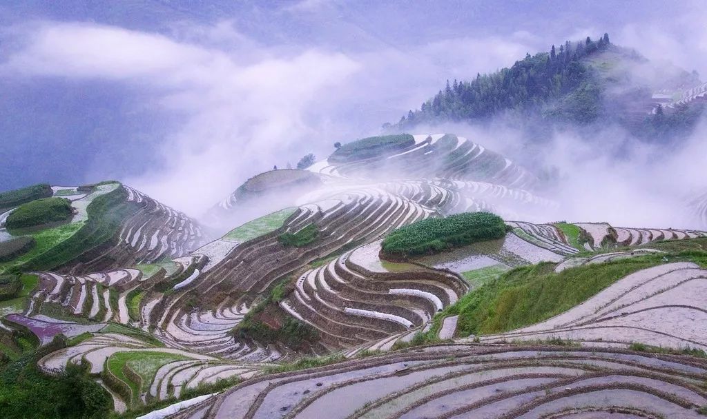 辽宁柳河富硒大米（辽宁富硒大米地区排名）-硒宝网