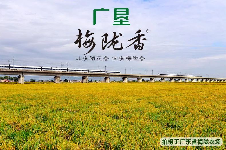 辽宁柳河富硒大米（辽宁富硒大米地区排名）-硒宝网