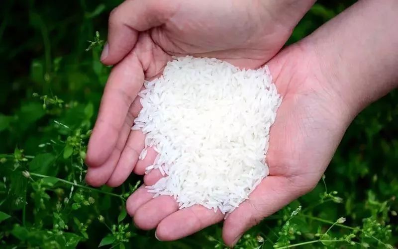 辽宁柳河富硒大米（辽宁富硒大米地区排名）-硒宝网