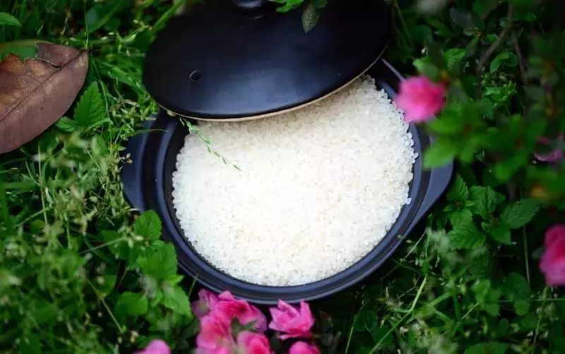 辽宁柳河富硒大米（辽宁富硒大米地区排名）-硒宝网