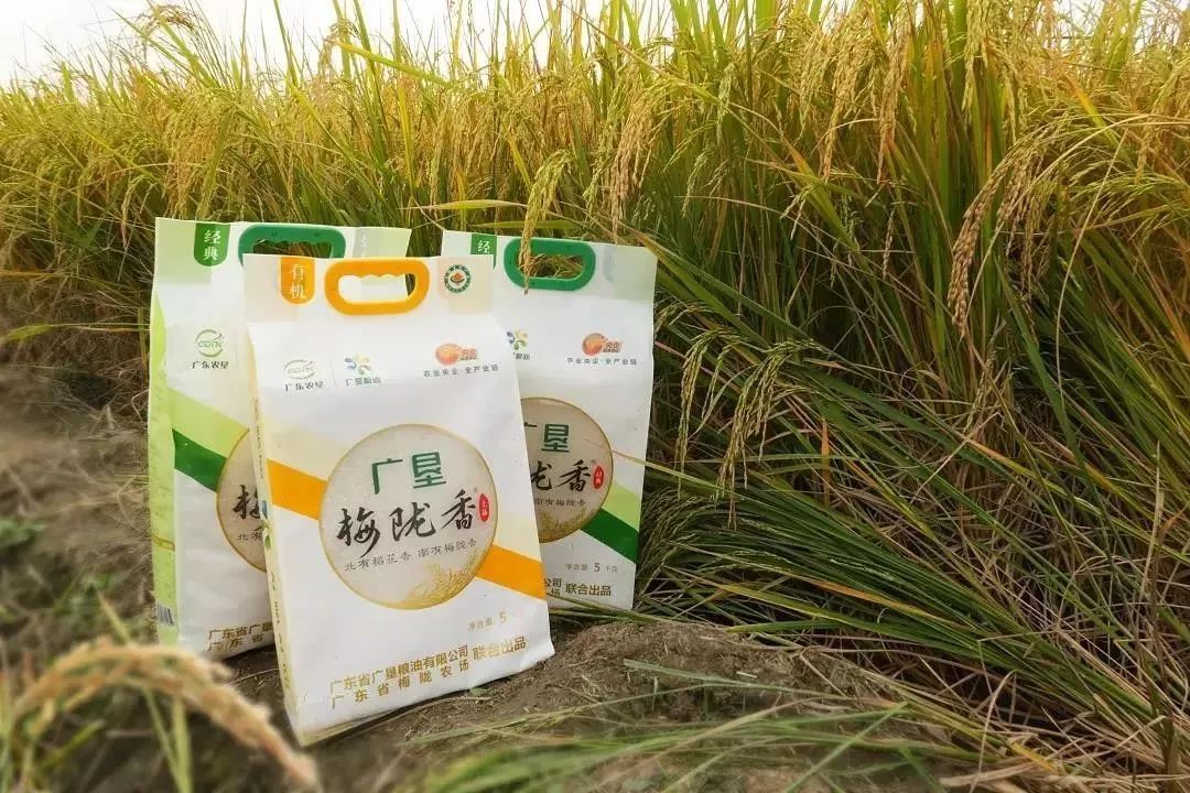 辽宁柳河富硒大米（辽宁富硒大米地区排名）-硒宝网