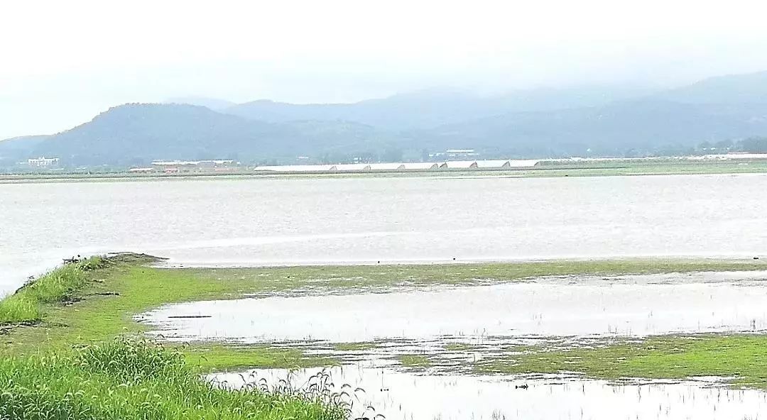 辽宁柳河富硒大米（辽宁富硒大米地区排名）-硒宝网