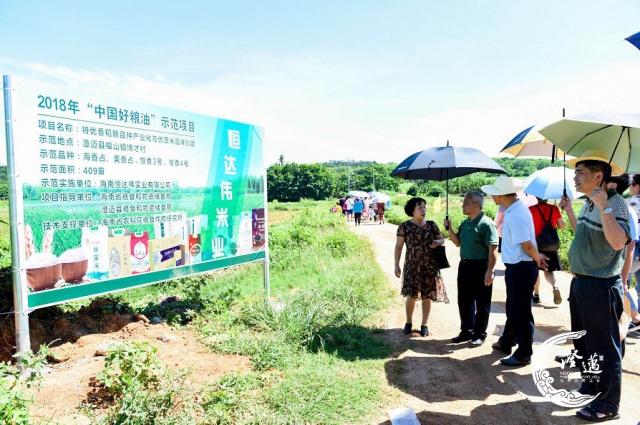 宝清富硒大米宣传(富硒大米的广告词)-硒宝网