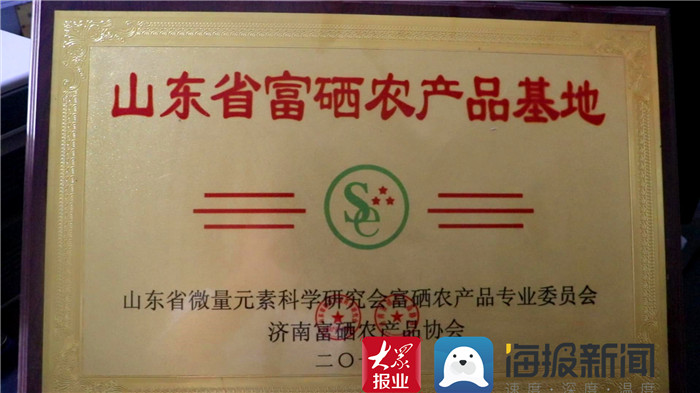 宝清富硒大米宣传(富硒大米广告)-硒宝网