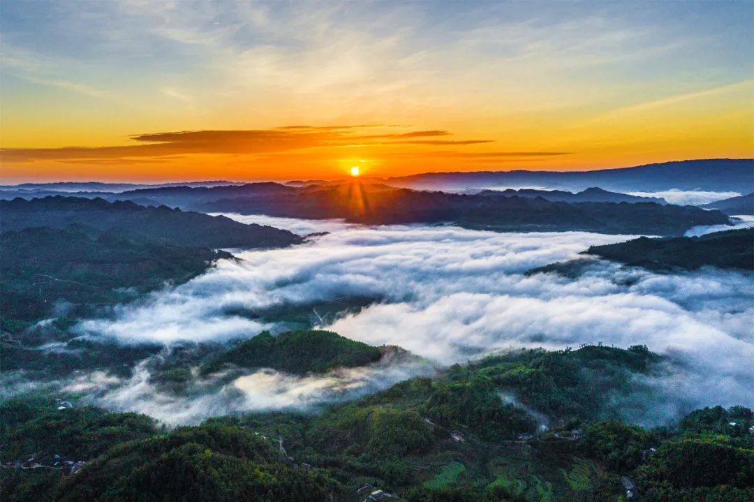 富硒大米成熟季节(富硒大米什么颜色)-硒宝网