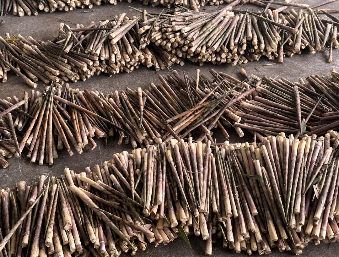 富硒大米成熟季节(富硒大米什么颜色)-硒宝网