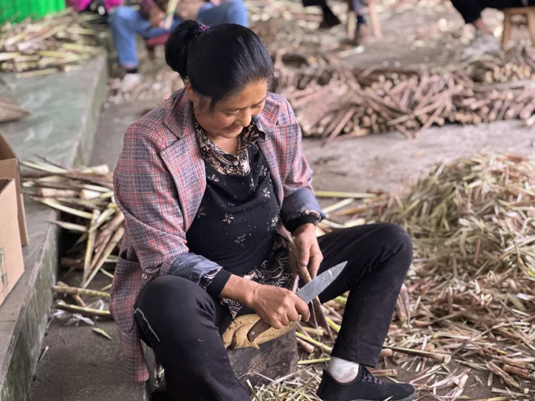 富硒大米成熟季节(富硒大米什么颜色)-硒宝网