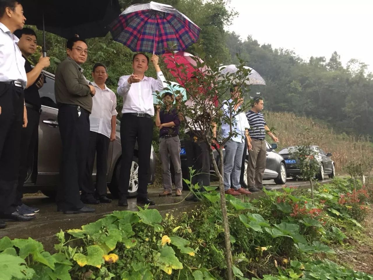 崇左有机富硒大米(富硒大米生产技术)-硒宝网