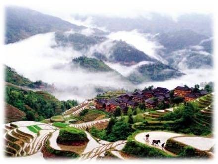 崇左有机富硒大米(富硒大米生产技术)-硒宝网