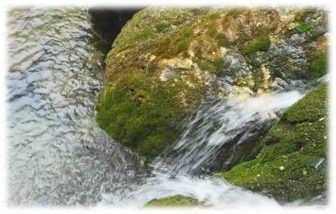 崇左有机富硒大米(富硒大米生产技术)-硒宝网