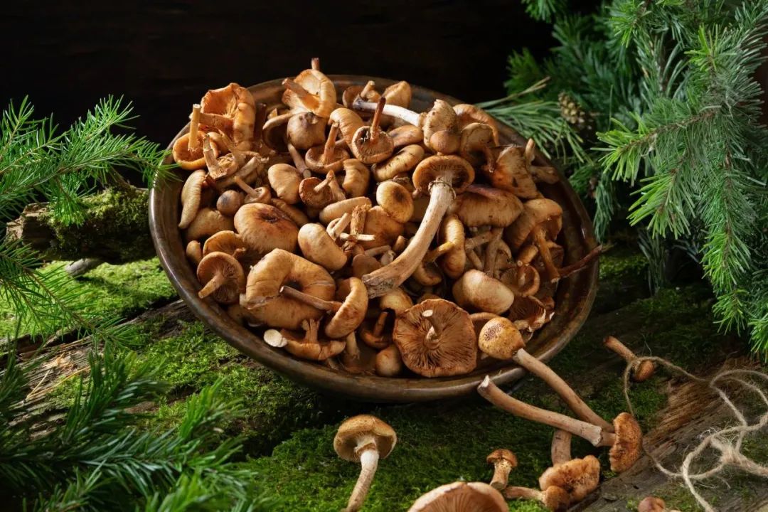 赣南农家富硒大米（江西富硒米）-硒宝网