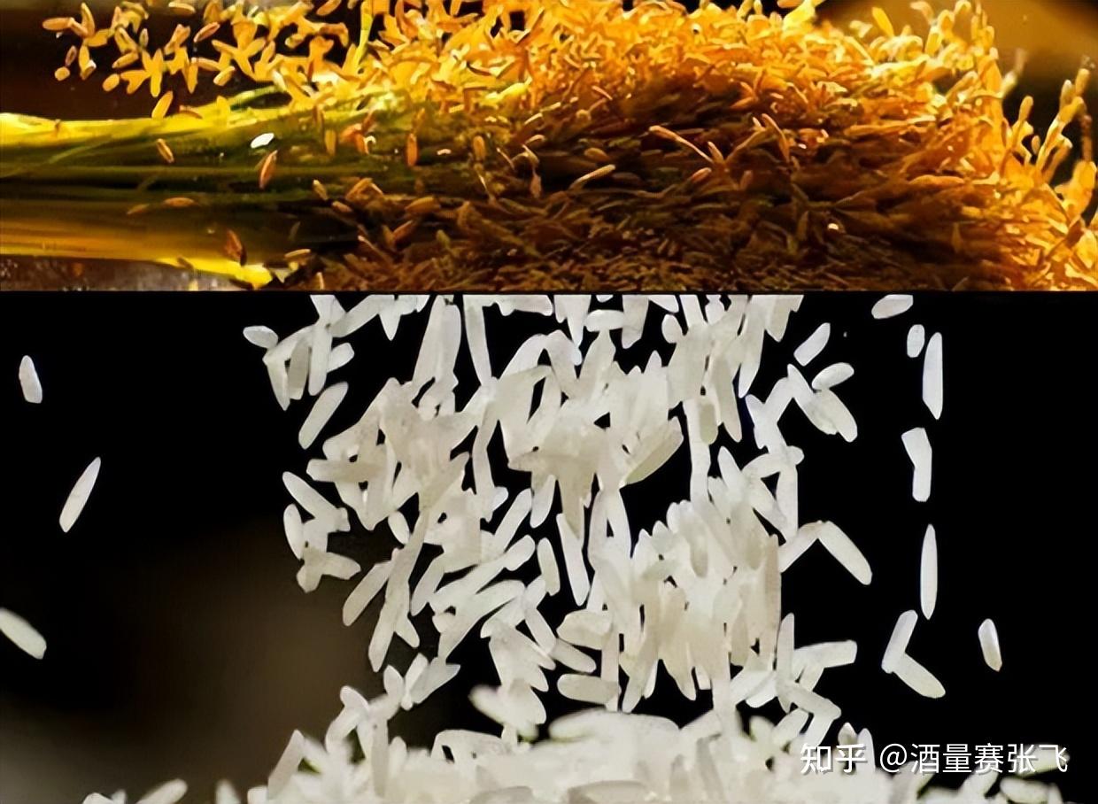 富硒大米牌子名字(富硒大米产地有哪些)-硒宝网