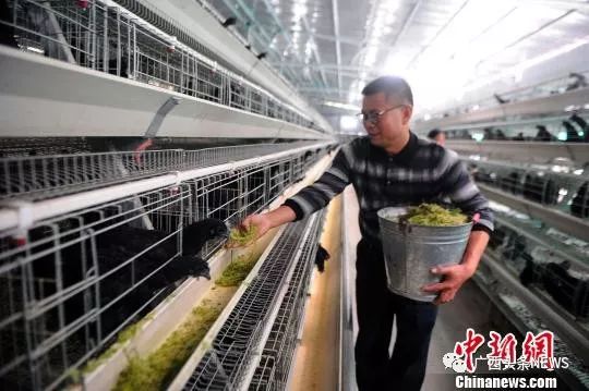 广西钦州富硒大米（广西富硒大米价格）-硒宝网