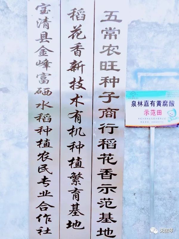 东北富硒大米产地(大米产地东北富硒含量)-硒宝网