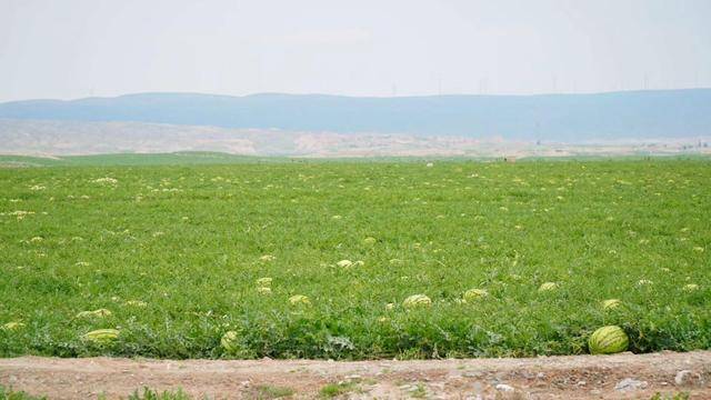 天然富硒大米专卖(大米专卖天然富硒怎么样)-硒宝网