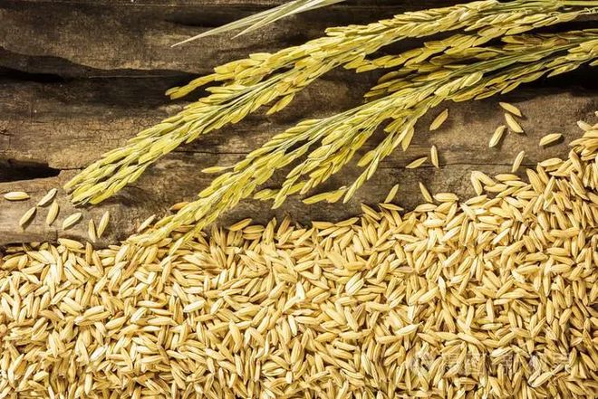 富硒大米香味特点（大米香味特点富硒含量高吗）-硒宝网