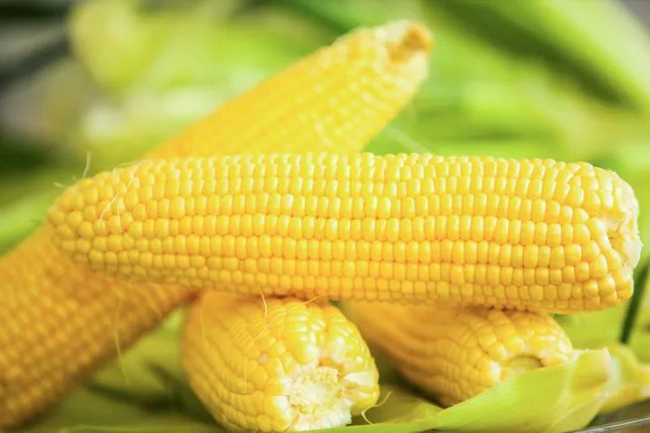 安康黄山富硒大米(安康大米怎么样)-硒宝网