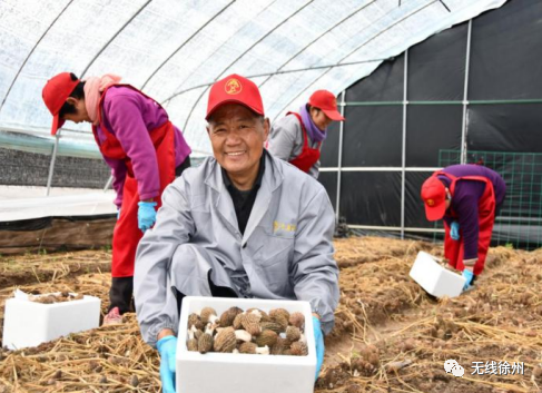 安康黄山富硒大米(安康大米怎么样)-硒宝网