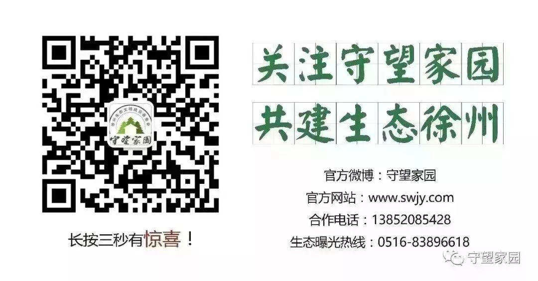 安康黄山富硒大米(安康大米怎么样)-硒宝网
