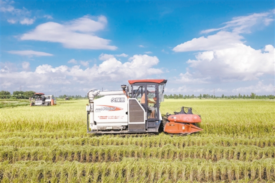 大米土壤富硒资质(大米富硒标准检测)-硒宝网