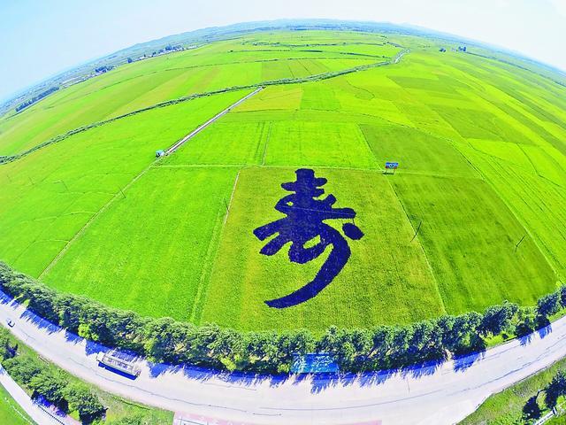 富硒大米怎么吃好(富硒大米吃多了会中毒吗)-硒宝网