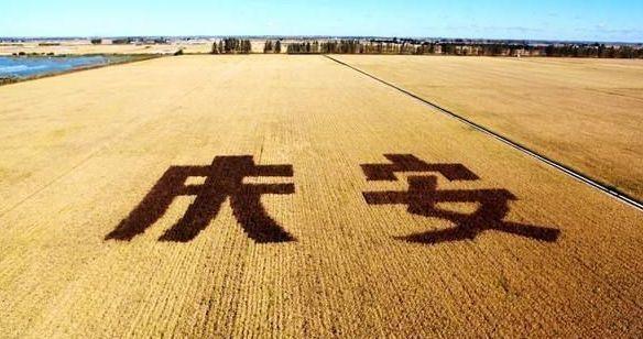 富硒大米怎么吃好(富硒大米吃多了会中毒吗)-硒宝网